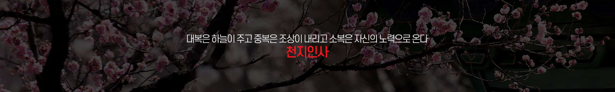 천지인사_공통상단